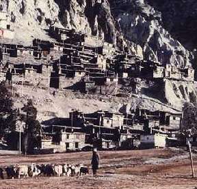 A village
where I work as an anthropologist